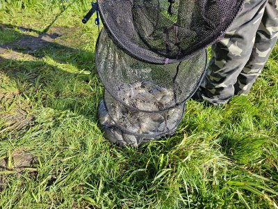 Kultura, Tradycja... i Placki! 2023